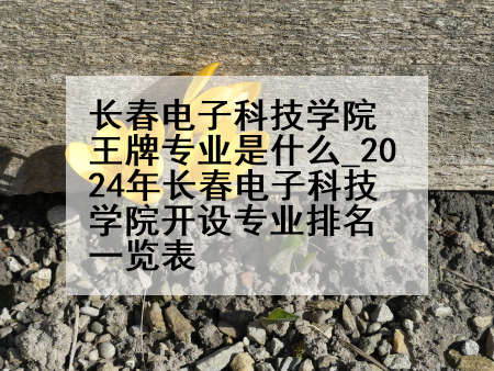 长春电子科技学院王牌专业是什么_2024年长春电子科技学院开设专业排名一览表