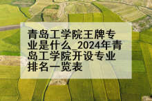 青岛工学院王牌专业是什么_2024年青岛工学院开设专业排名一览表