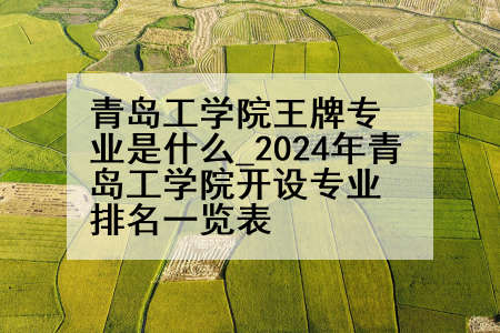 青岛工学院王牌专业是什么_2024年青岛工学院开设专业排名一览表