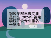 铜陵学院王牌专业是什么_2024年铜陵学院开设专业排名一览表