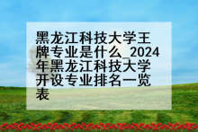 黑龙江科技大学王牌专业是什么_2024年黑龙江科技大学开设专业排名一览表