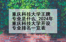 重庆科技大学王牌专业是什么_2024年重庆科技大学开设专业排名一览表