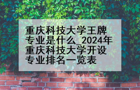 重庆科技大学王牌专业是什么_2024年重庆科技大学开设专业排名一览表