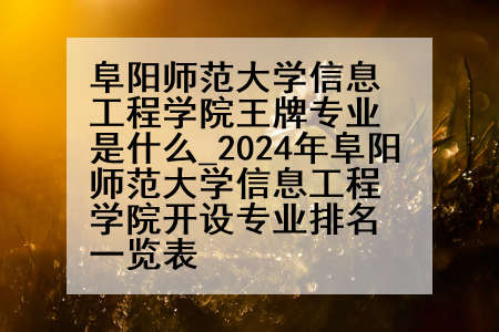 阜阳师范大学信息工程学院王牌专业是什么_2024年阜阳师范大学信息工程学院开设专业排名一览表