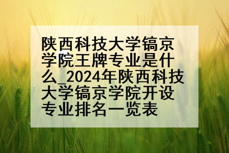 陕西科技大学镐京学院王牌专业是什么_2024年陕西科技大学镐京学院开设专业排名一览表
