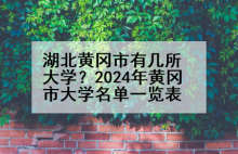 湖北黄冈市有几所大学？2024年黄冈市大学名单一览表