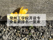 常州工学院开设专业最新排名一览表