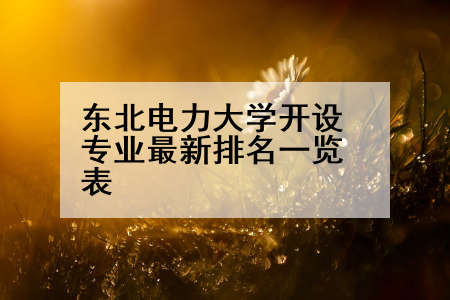 东北电力大学开设专业最新排名一览表