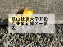 昆山杜克大学开设专业最新排名一览表