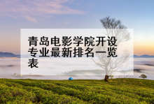 青岛电影学院开设专业最新排名一览表