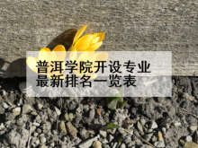 普洱学院开设专业最新排名一览表