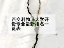 西交利物浦大学开设专业最新排名一览表
