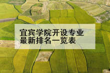 宜宾学院开设专业最新排名一览表