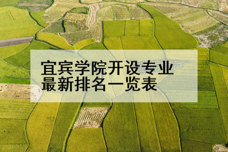 宜宾学院开设专业最新排名一览表