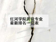 红河学院开设专业最新排名一览表