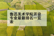 鲁迅美术学院开设专业最新排名一览表