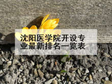 沈阳医学院开设专业最新排名一览表