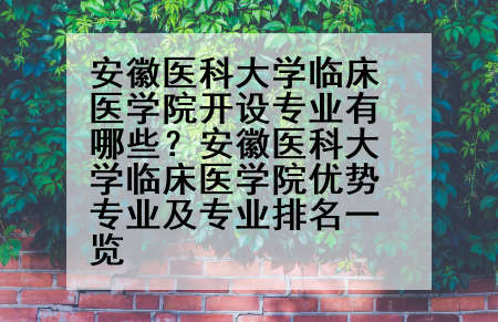安徽医科大学临床医学院开设专业有哪些？安徽医科大学临床医学院优势专业及专业排名一览