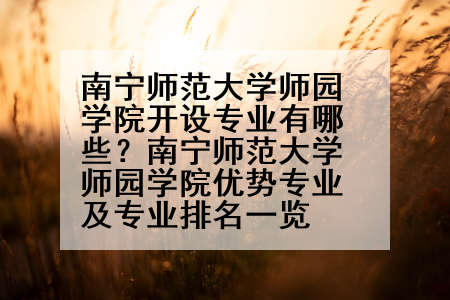 南宁师范大学师园学院开设专业有哪些？南宁师范大学师园学院优势专业及专业排名一览