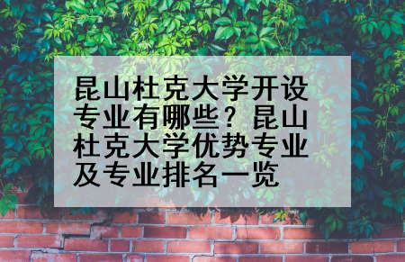 昆山杜克大学开设专业有哪些？昆山杜克大学优势专业及专业排名一览