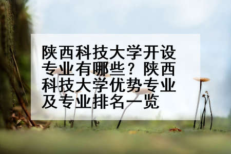 陕西科技大学开设专业有哪些？陕西科技大学优势专业及专业排名一览