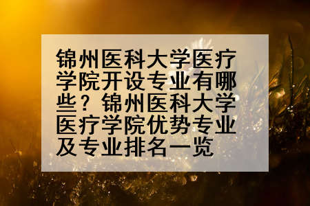 锦州医科大学医疗学院开设专业有哪些？锦州医科大学医疗学院优势专业及专业排名一览