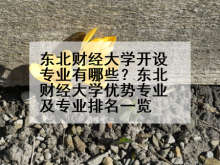 东北财经大学开设专业有哪些？东北财经大学优势专业及专业排名一览