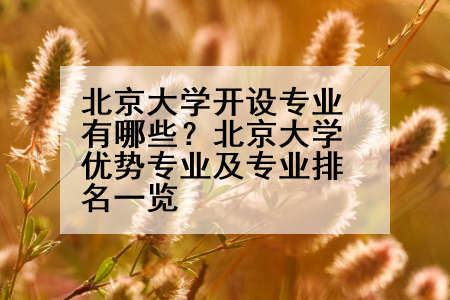 北京大学开设专业有哪些？北京大学优势专业及专业排名一览
