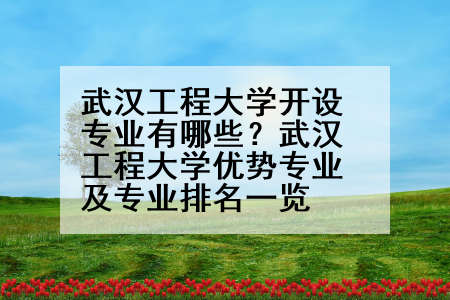 武汉工程大学开设专业有哪些？武汉工程大学优势专业及专业排名一览