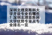 深圳北理莫斯科大学开设专业有哪些？深圳北理莫斯科大学优势专业及专业排名一览