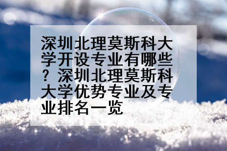 深圳北理莫斯科大学开设专业有哪些？深圳北理莫斯科大学优势专业及专业排名一览