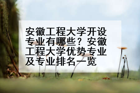安徽工程大学开设专业有哪些？安徽工程大学优势专业及专业排名一览