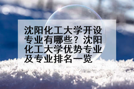 沈阳化工大学开设专业有哪些？沈阳化工大学优势专业及专业排名一览