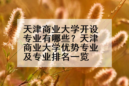 天津商业大学开设专业有哪些？天津商业大学优势专业及专业排名一览