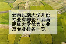 云南民族大学开设专业有哪些？云南民族大学优势专业及专业排名一览