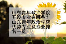 山东青年政治学院开设专业有哪些？山东青年政治学院优势专业及专业排名一览