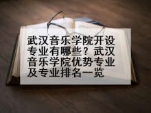 武汉音乐学院开设专业有哪些？武汉音乐学院优势专业及专业排名一览