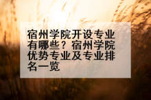 宿州学院开设专业有哪些？宿州学院优势专业及专业排名一览