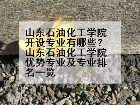 山东石油化工学院开设专业有哪些？山东石油化工学院优势专业及专业排名一览