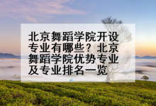 北京舞蹈学院开设专业有哪些？北京舞蹈学院优势专业及专业排名一览