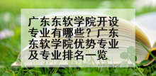 广东东软学院开设专业有哪些？广东东软学院优势专业及专业排名一览