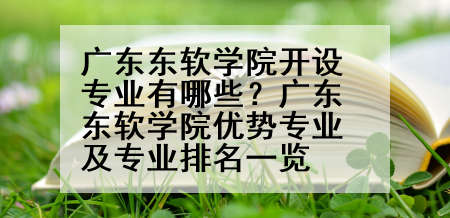 广东东软学院开设专业有哪些？广东东软学院优势专业及专业排名一览