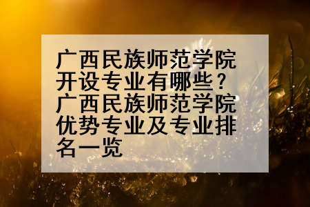广西民族师范学院开设专业有哪些？广西民族师范学院优势专业及专业排名一览