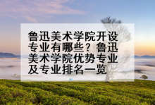 鲁迅美术学院开设专业有哪些？鲁迅美术学院优势专业及专业排名一览