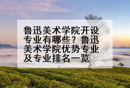 鲁迅美术学院开设专业有哪些？鲁迅美术学院优势专业及专业排名一览