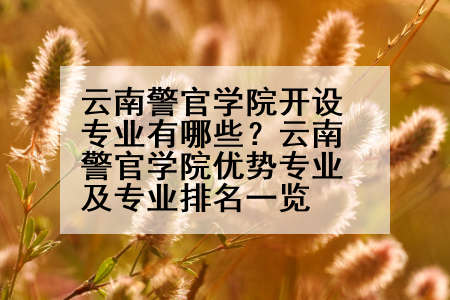 云南警官学院开设专业有哪些？云南警官学院优势专业及专业排名一览