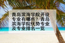 青岛滨海学院开设专业有哪些？青岛滨海学院优势专业及专业排名一览