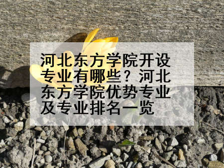 河北东方学院开设专业有哪些？河北东方学院优势专业及专业排名一览