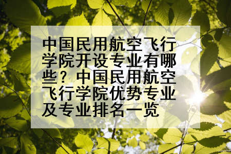 中国民用航空飞行学院开设专业有哪些？中国民用航空飞行学院优势专业及专业排名一览