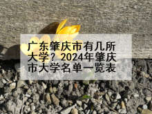 广东肇庆市有几所大学？2024年肇庆市大学名单一览表